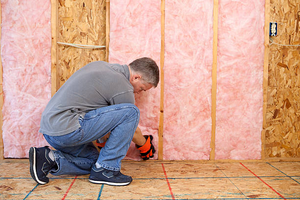 Types of Insulation We Offer in West Sacramento, CA
