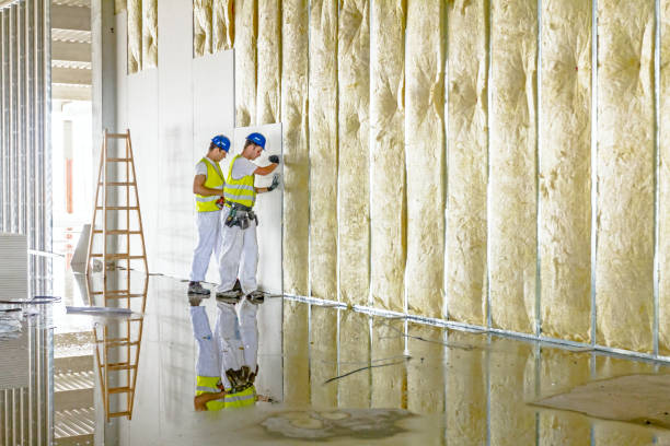 Best Eco-Friendly Insulation in West Sacramento, CA